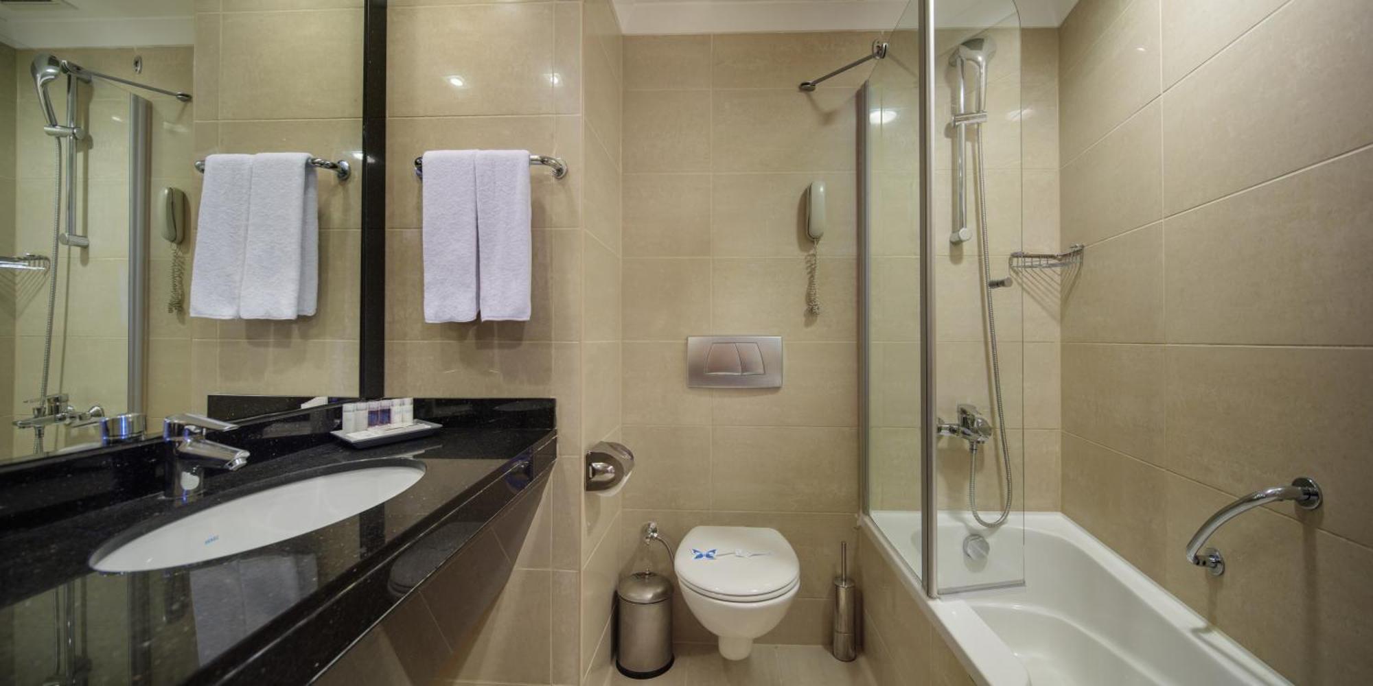 Large Double or Twin Room